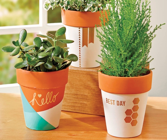 DIY Decor with Creative Containers 12897